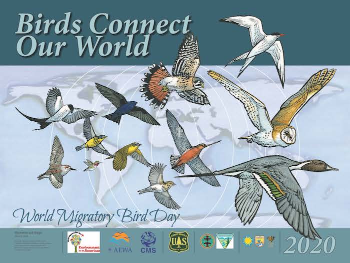 World Migratory Bird Day Virtual Event 2020 World Migratory Bird Day World Migratory Bird Day Virtual Event 2020 World Migratory Bird Day